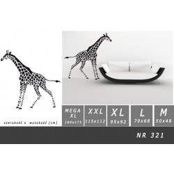 Żyrafa 321