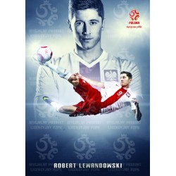 Naklejka PZPN - B1-5