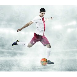 Naklejka PZPN - B5-1