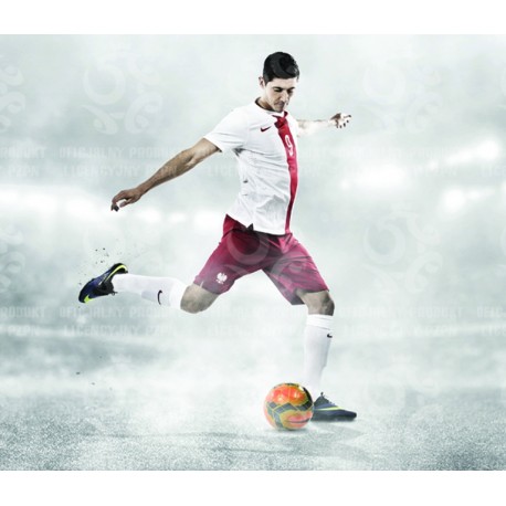 Naklejka PZPN - B5-1