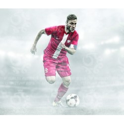 Naklejka PZPN - B5-4