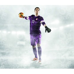 Naklejka PZPN - B5-6