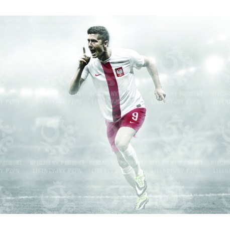 Naklejka PZPN - B5-9