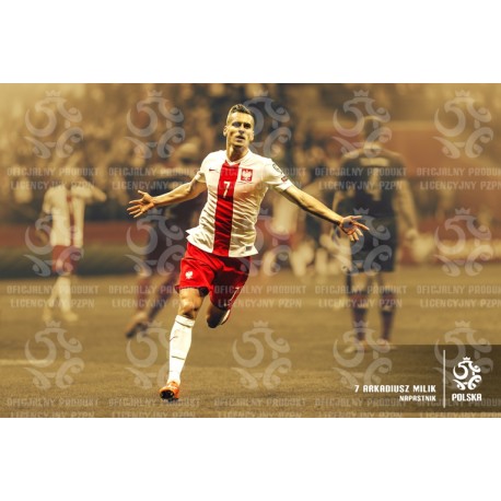 Naklejka PZPN - B3-1