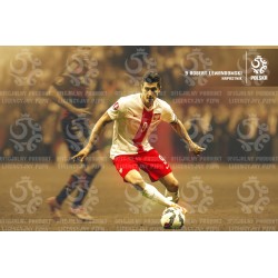 Naklejka PZPN - B3-11