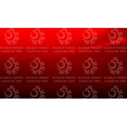 Naklejka PZPN - B4-10