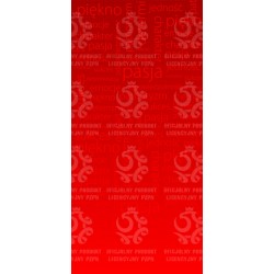 Naklejka PZPN - H1-03