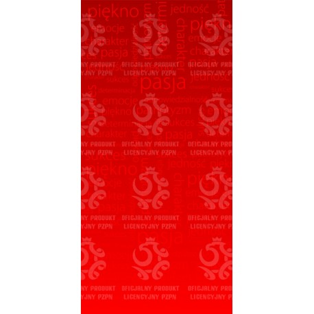 Naklejka PZPN - H1-03