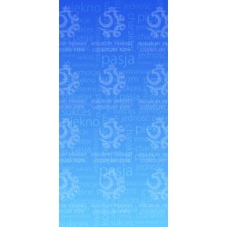 Naklejka PZPN - H1-04