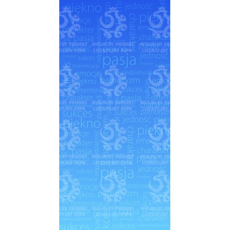 Naklejka PZPN - H1-04