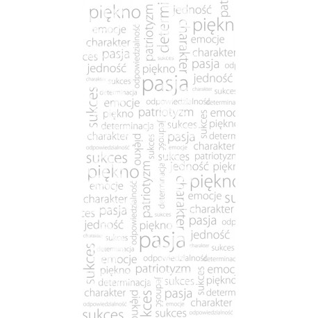 Naklejka PZPN - H1-05