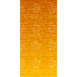 Naklejka PZPN - H2-02