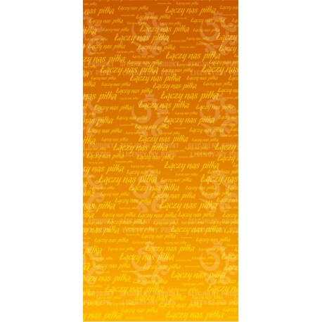 Naklejka PZPN - H2-02