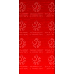 Naklejka PZPN - H2-03