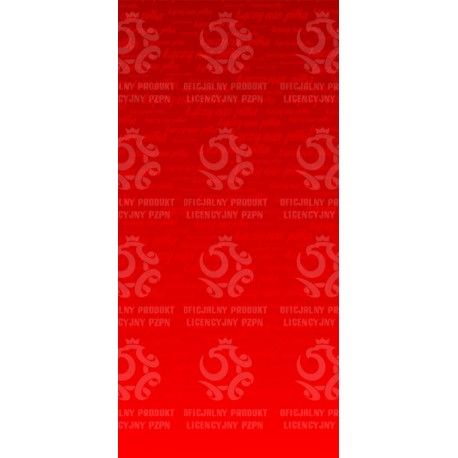 Naklejka PZPN - H2-03