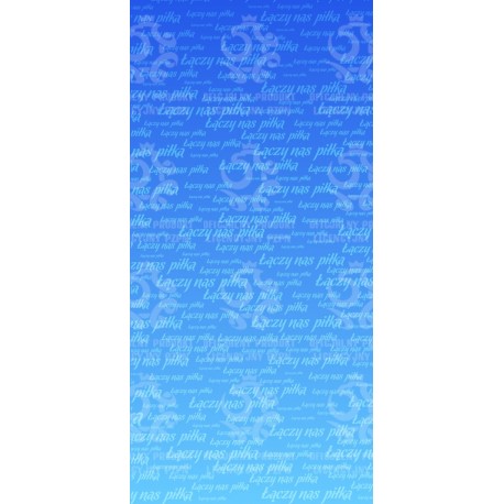 Naklejka PZPN - H2-04