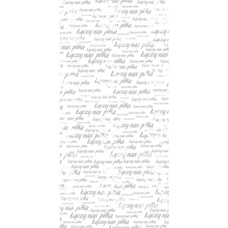 Naklejka PZPN - H2-05