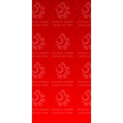 Naklejka PZPN - H3-05