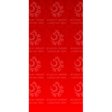 Naklejka PZPN - H3-05