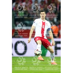 Naklejka PZPN - A2-1