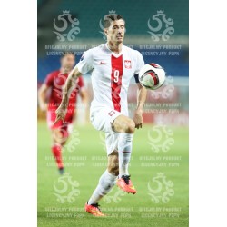 Naklejka PZPN - A2-4