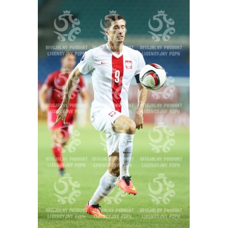 Naklejka PZPN - A2-4