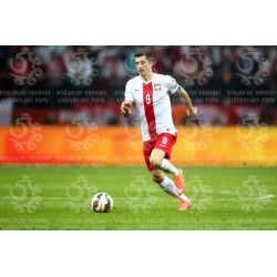 Naklejka PZPN - A2-5