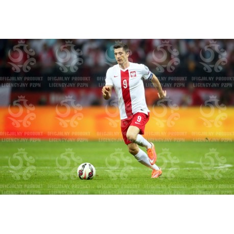 Naklejka PZPN - A2-5