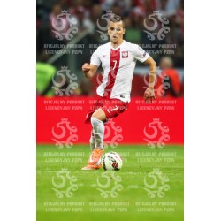 Naklejka PZPN - A2-6