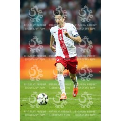 Naklejka PZPN - A2-15