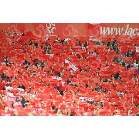 Naklejka PZPN - A2-20