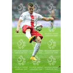 Naklejka PZPN - A2-23