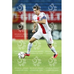 Naklejka PZPN - A2-26