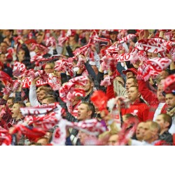 Naklejka PZPN - A2-28