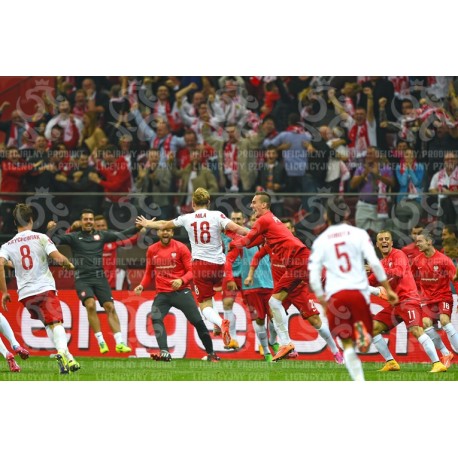 Naklejka PZPN - A2-29