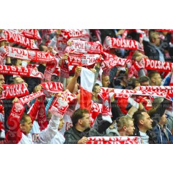 Naklejka PZPN - A2-31