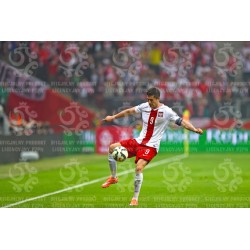 Naklejka PZPN - A2-32