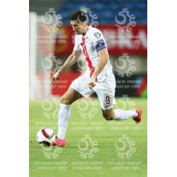 Naklejka PZPN - A2-38