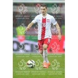 Naklejka PZPN - A2-44