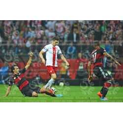 Naklejka PZPN - A2-48