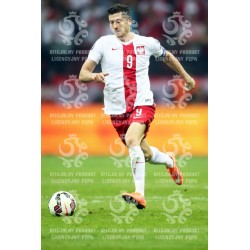 Naklejka PZPN - A2-53