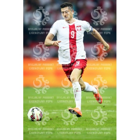 Naklejka PZPN - A2-53