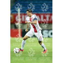 Naklejka PZPN - A2-54