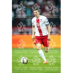 Naklejka PZPN - A2-56