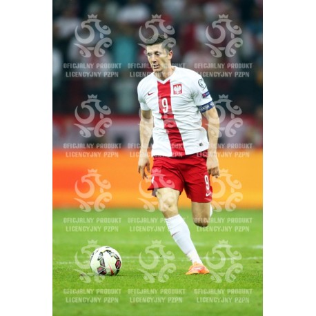 Naklejka PZPN - A2-56