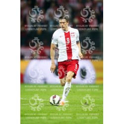 Naklejka PZPN - A2-60