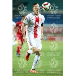 Naklejka PZPN - A2-61