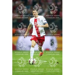 Naklejka PZPN - A2-67