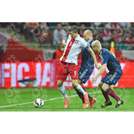 Naklejka PZPN - A2-71