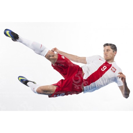 Naklejka PZPN - A3-11